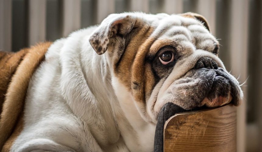 10 Ways To Get Inspired For Meditation When You Don’t Feel Like It 10 Ways To Get Inspired For Meditation When You Don’t Feel Like It