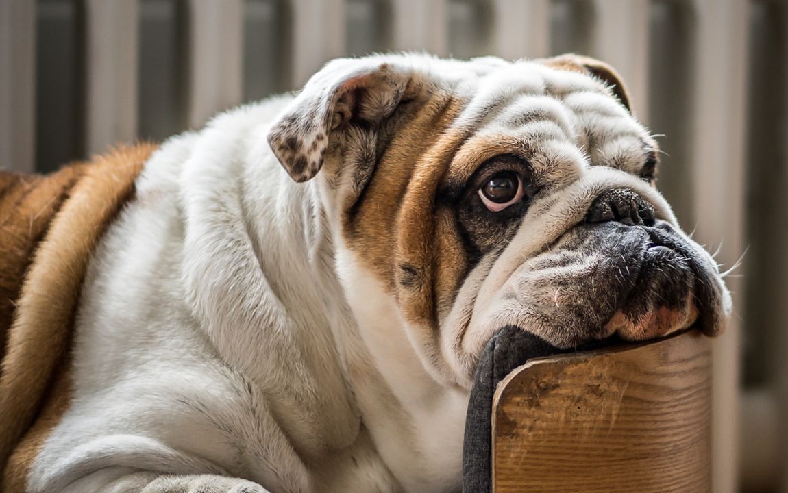 10 Ways To Get Inspired For Meditation When You Don’t Feel Like It 10 Ways To Get Inspired For Meditation When You Don’t Feel Like It