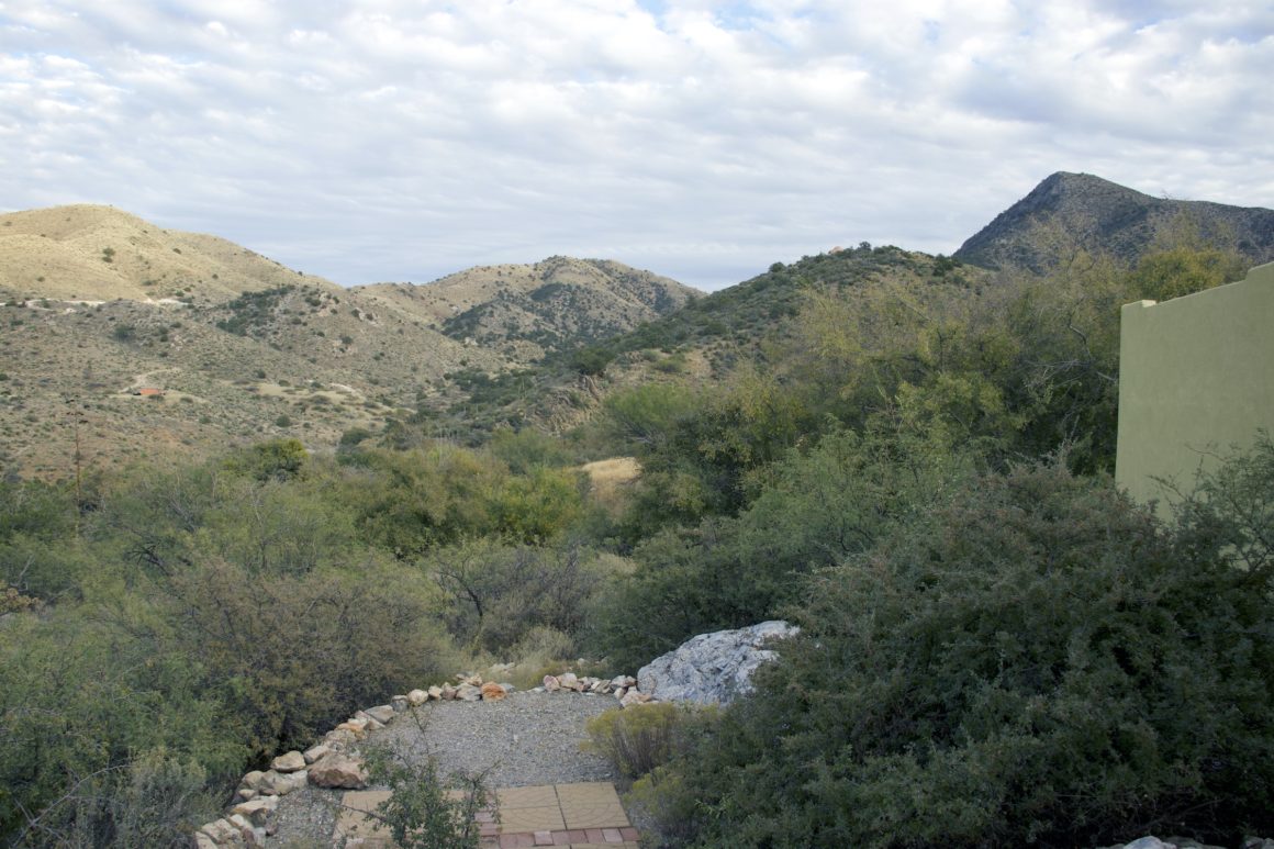 7_IMG_9739 House 7: Diamondback