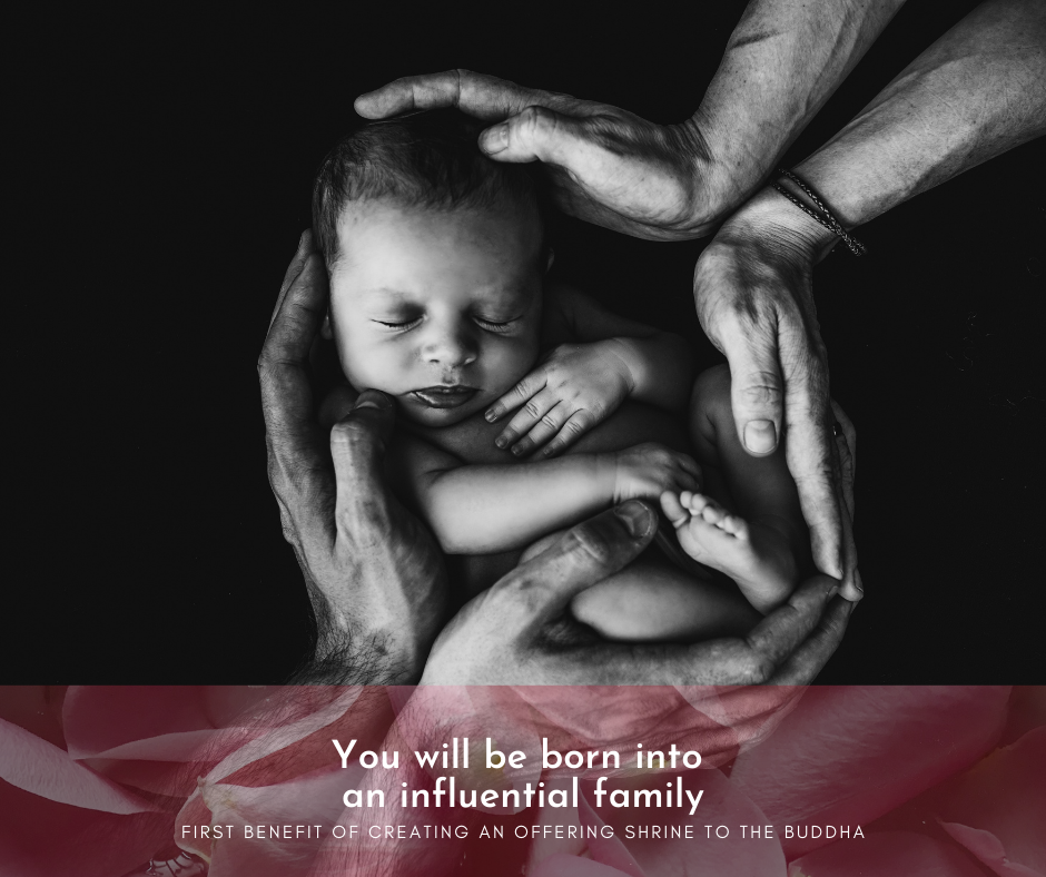 You will be born into an influential family. You will be born into an influential family.