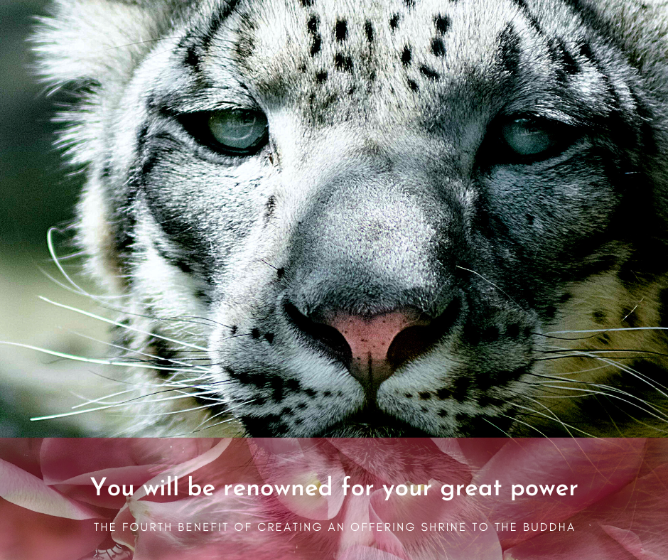 You will be renowned for your great power. You will be renowned for your great power.